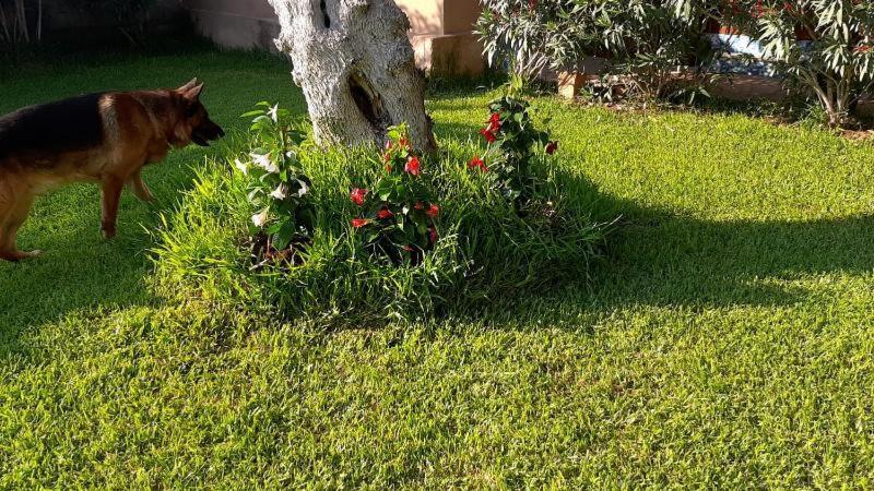 Villa Girasole Monteroni di Lecce Kültér fotó